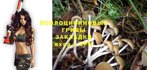ПСИЛОЦИБИНОВЫЕ ГРИБЫ Белоозёрский